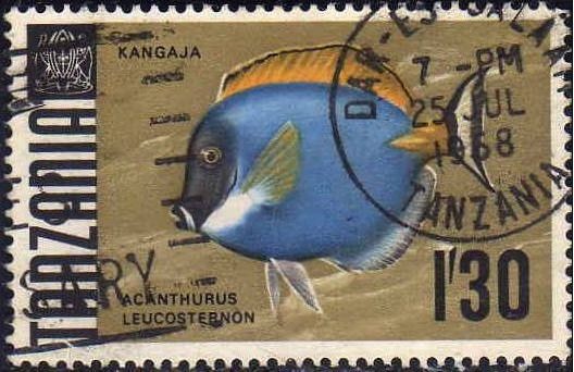 Tanzania 1987 Sello Fauna Peces Kangaja Acanthurus Leucosternon usado 