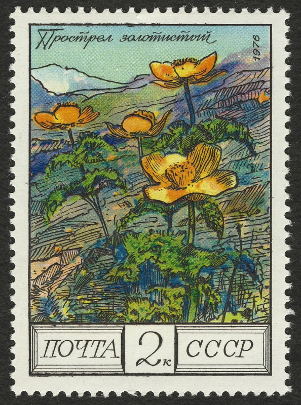 RUSIA - Cáucaso Occidental