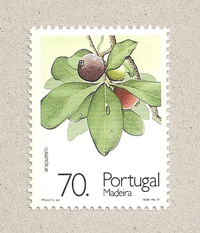 Madeira, guayaba