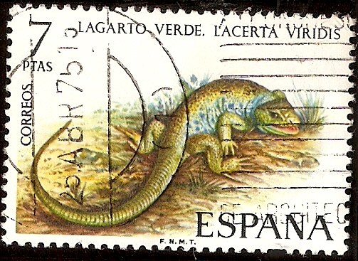 Fauna. Lagarto verde