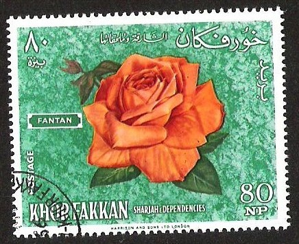 KHOR FAKKAN - FANTAN