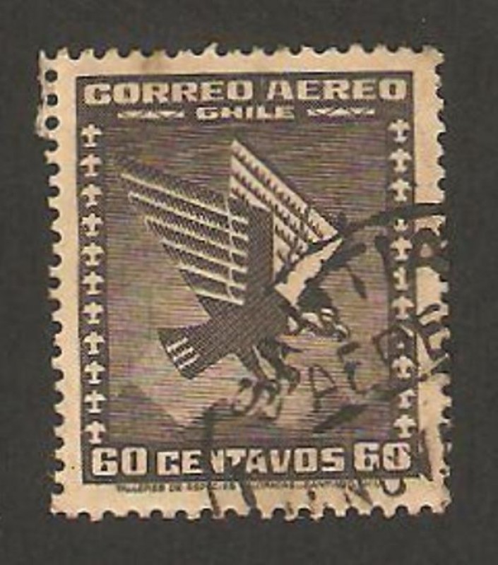 un condor