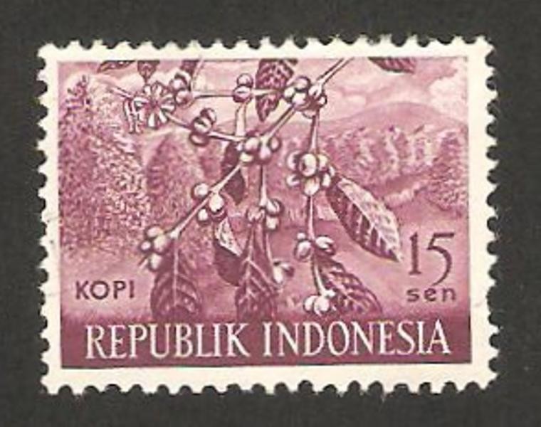 kopi
