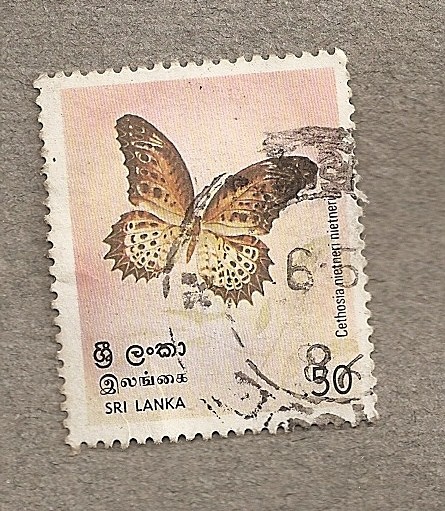 Mariposa