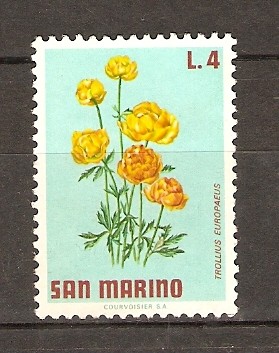 TROLLIUS   EUROPAEUS