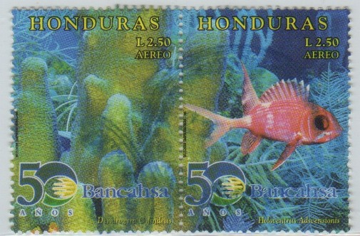 Bancahsa