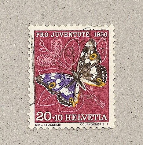 Mariposa