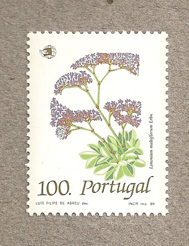 Limonium multiflorum