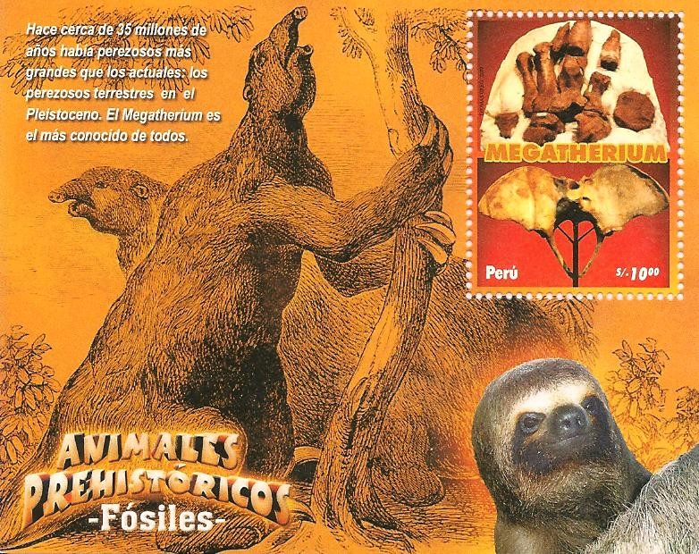 Fósiles Animales Prehistóricos MEGATHERIUM
