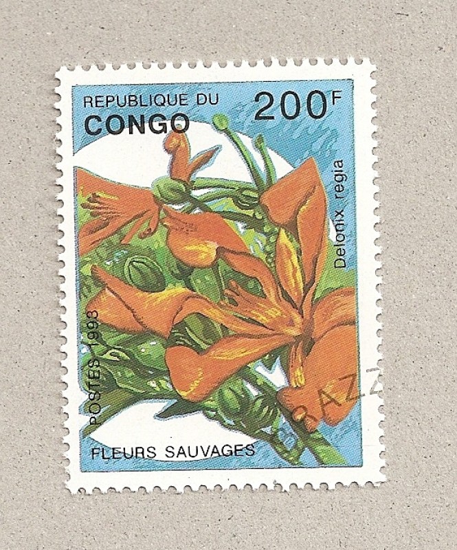 Flor Delonix regia