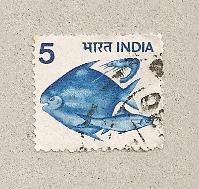 Peces