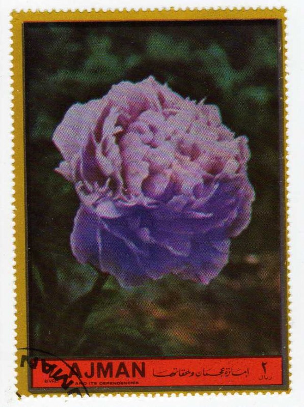 Flora 