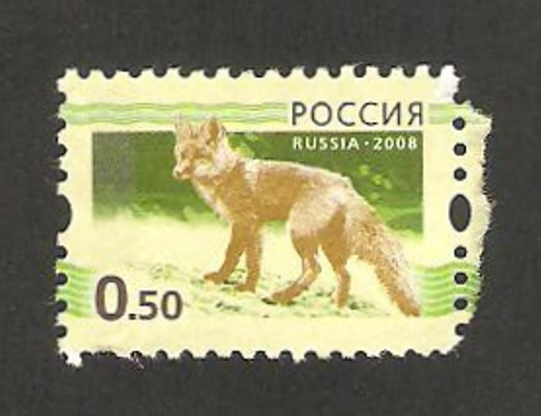 fauna, un lobo