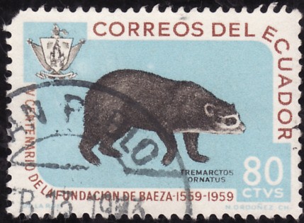 IV Centenario de la fundacion de Baeza(OSO DE CARA BLANCA)