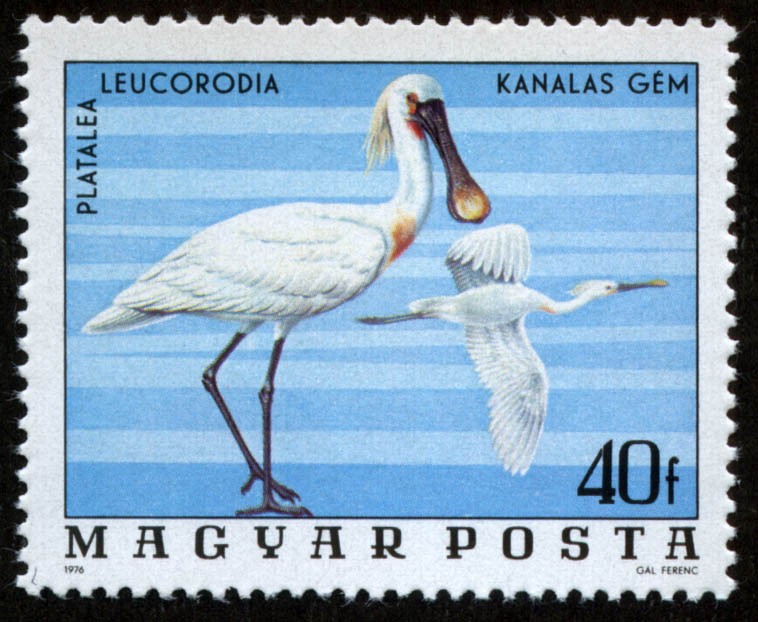 HUNGRIA - Parque Nacional del Hortobág
