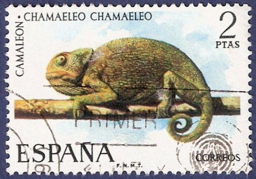 Fauna Hispanica