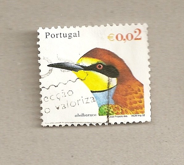 Abejarruco