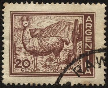 Llama y la cordillera de los Andes. 