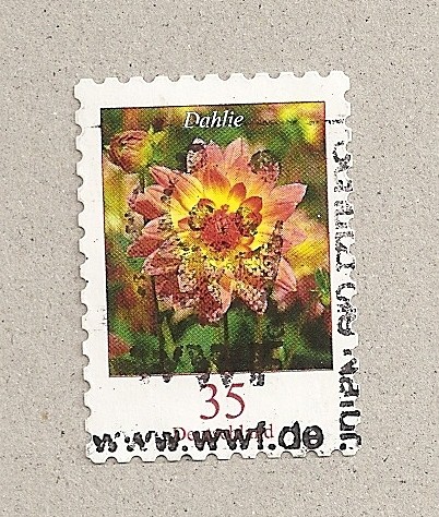 Dalia
