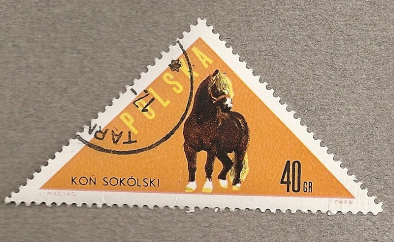 Caballo