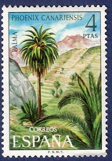 Flora