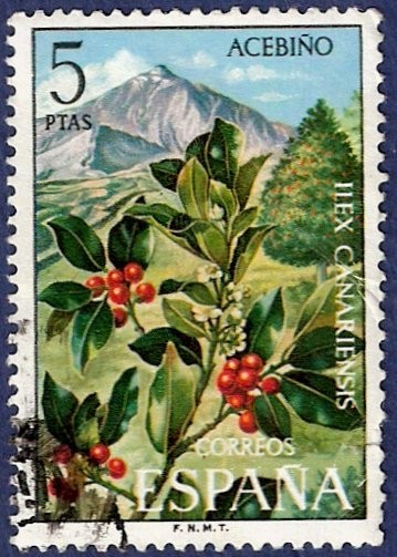 Flora