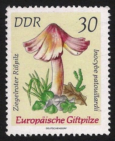 SETAS-HONGOS: 1.152.016,03-Inocybe patouillardii -Dm.974.32-Y&T1618-Mch.1938-Sc.1538