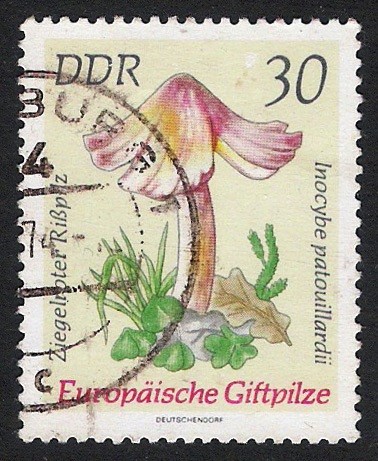 SETAS-HONGOS: 1.152.016,02-Inocybe patouillardii -Dm.974.32-Y&T1618-Mch.1938-Sc.1538