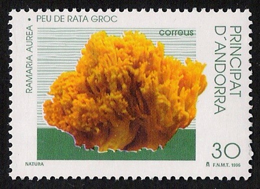 SETAS-HONGOS: 1.103.011,00-Romania aurea