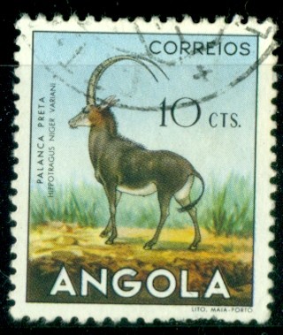 Hipotrago negro