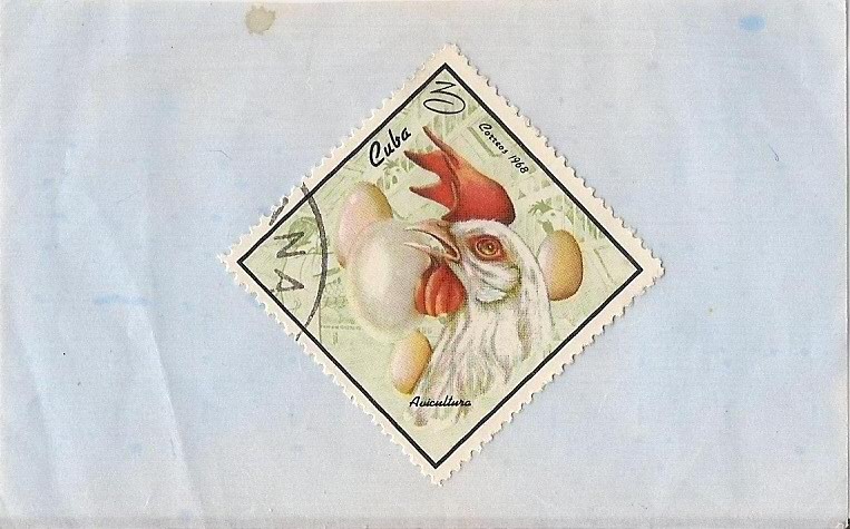 Avicultura