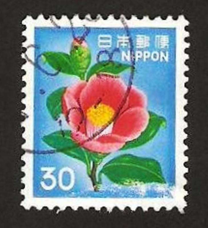 flor camelia
