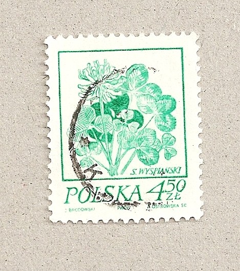 Flores