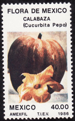 Flora de México-CALABAZA
