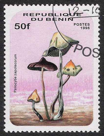 SETAS-HONGOS: 1.114.012,01-Psilocybe zapotecorum -Dm.996.140-Mch.850-Sc.878