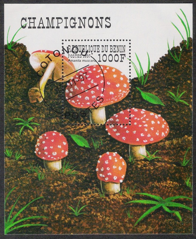 SETAS-HONGOS: 1.114.027,00-Amanita muscaria