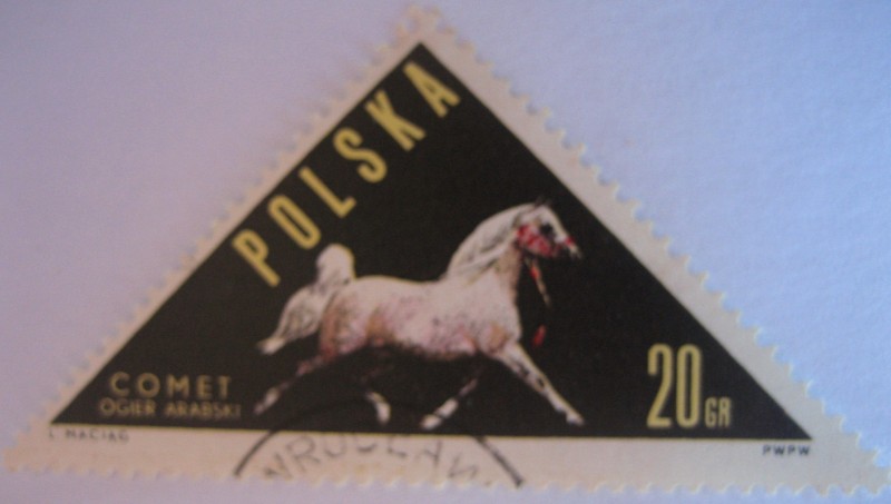 caballos
