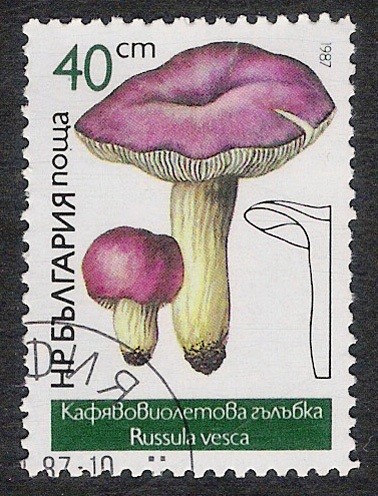 SETAS-HONGOS: 1.120.025,01-Russula vesca -Dm.978.8-Y&T.3075-Mch.3550-Sc.3236