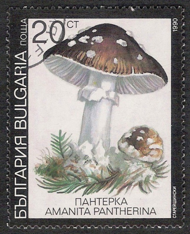SETAS-HONGOS: 1.120.033,04-Amanita pantherina -Dm.991.9-Y&T.3354-Mch.3888-Sc.3599