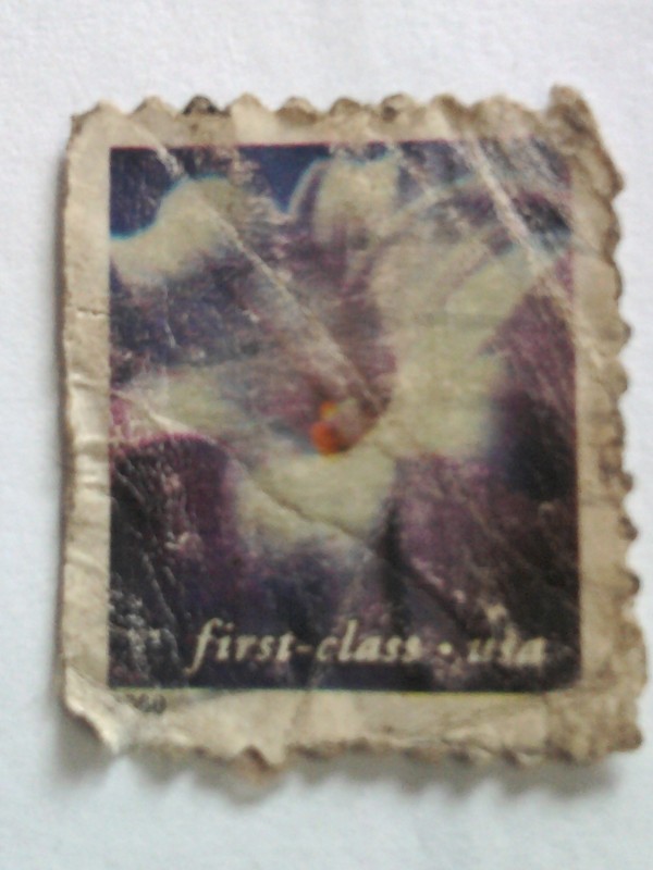 first class