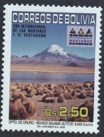 Año internacional de las montañas y el ecoturismo