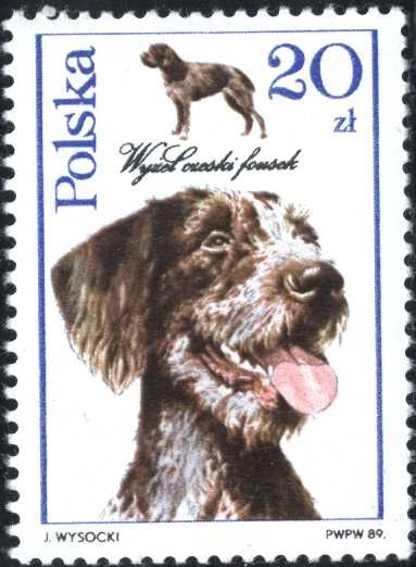 Perros