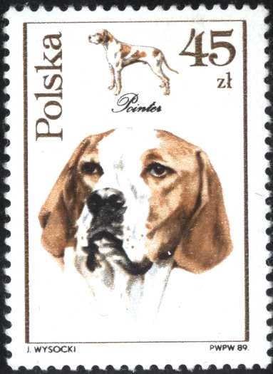 Perros