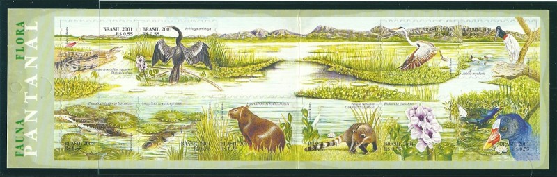 Reserva El Pantanal