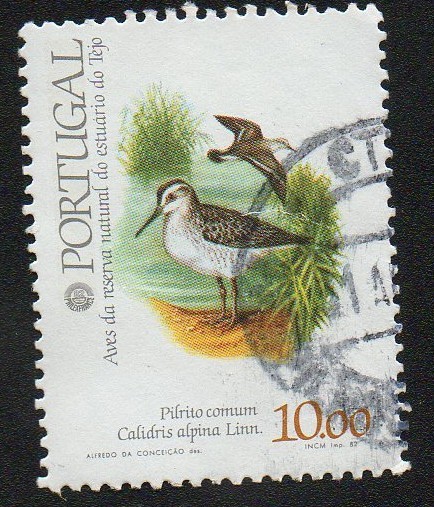 Aves de la Reserva Natural del Estuario del Tajo