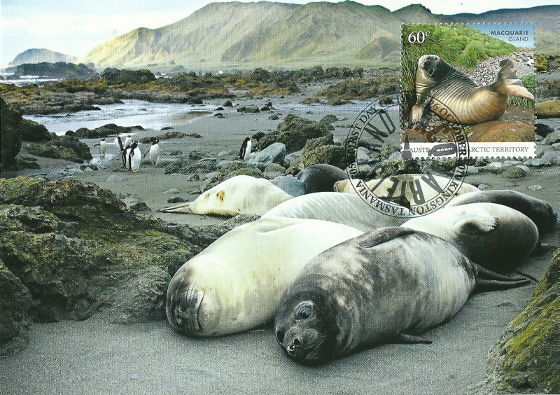 Isla de Macquarie