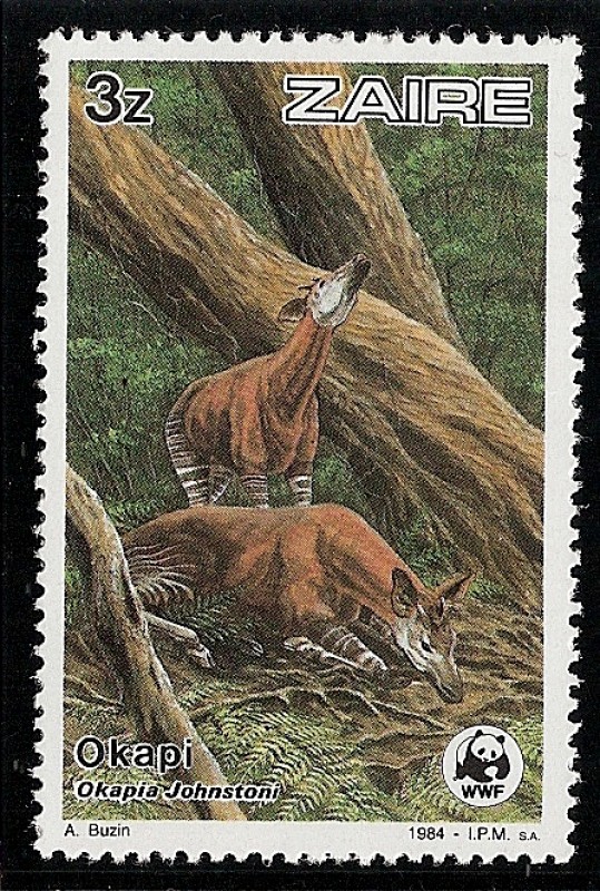 Reserva de la fauna de los okapis