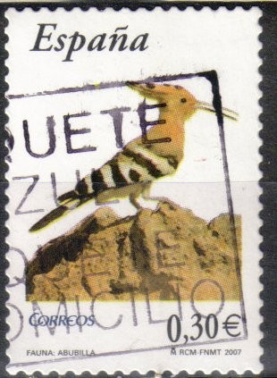 Pájaros, abubilla
