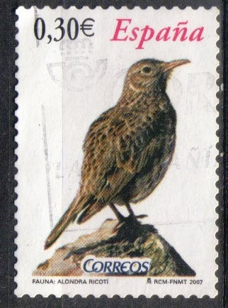 Pájaros, alondra