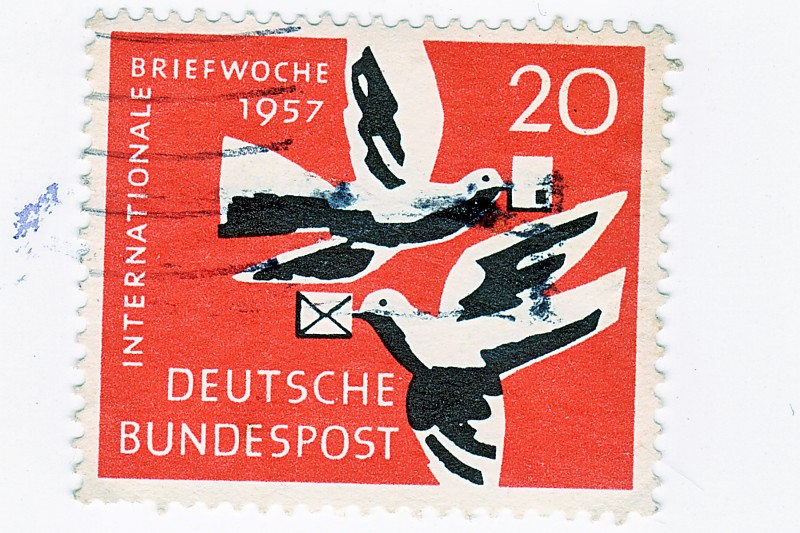 Vuelo